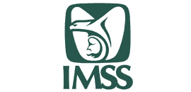 Instituto Mexicano del Seguro Social